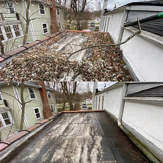 Gutter Roof Cleaning