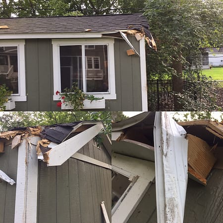 Shed Tree Damage